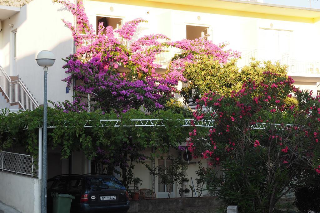 Apartment Apartmani Makarska